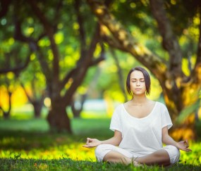 世界杯比赛投注-加拿大男足备战国际赛事，阵容观察与球迷关注焦点